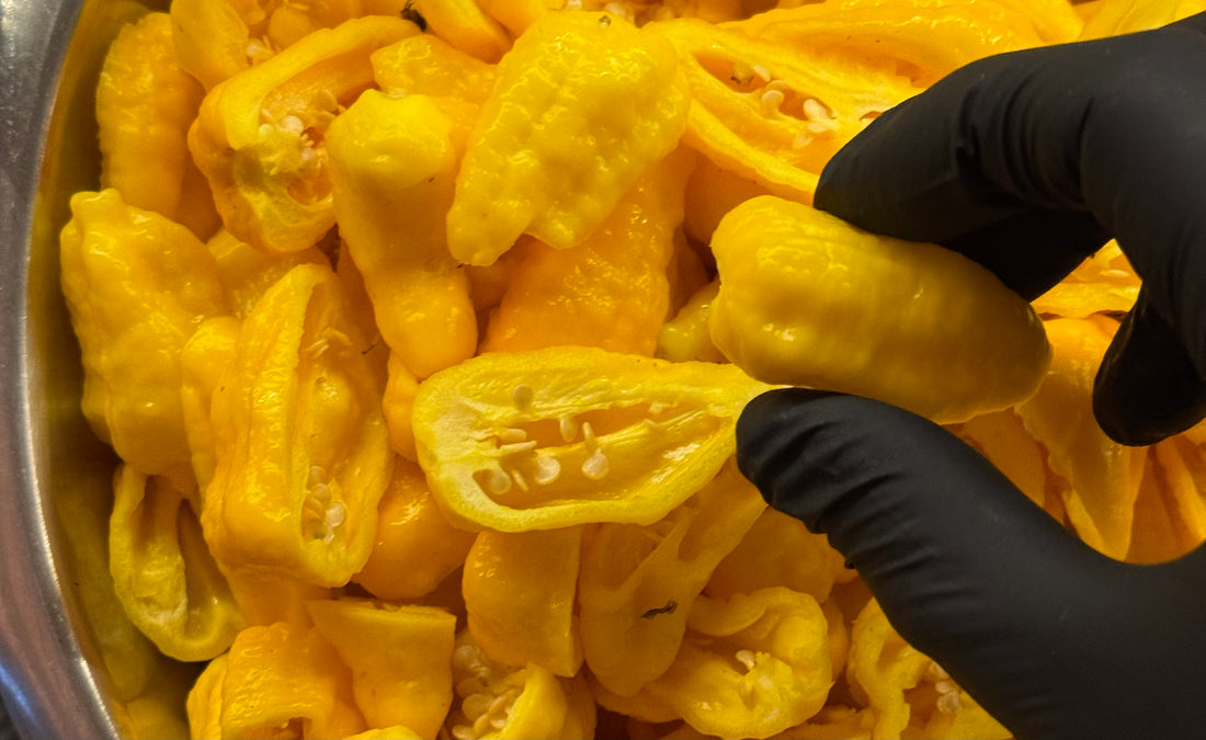 yellow ghost peppers